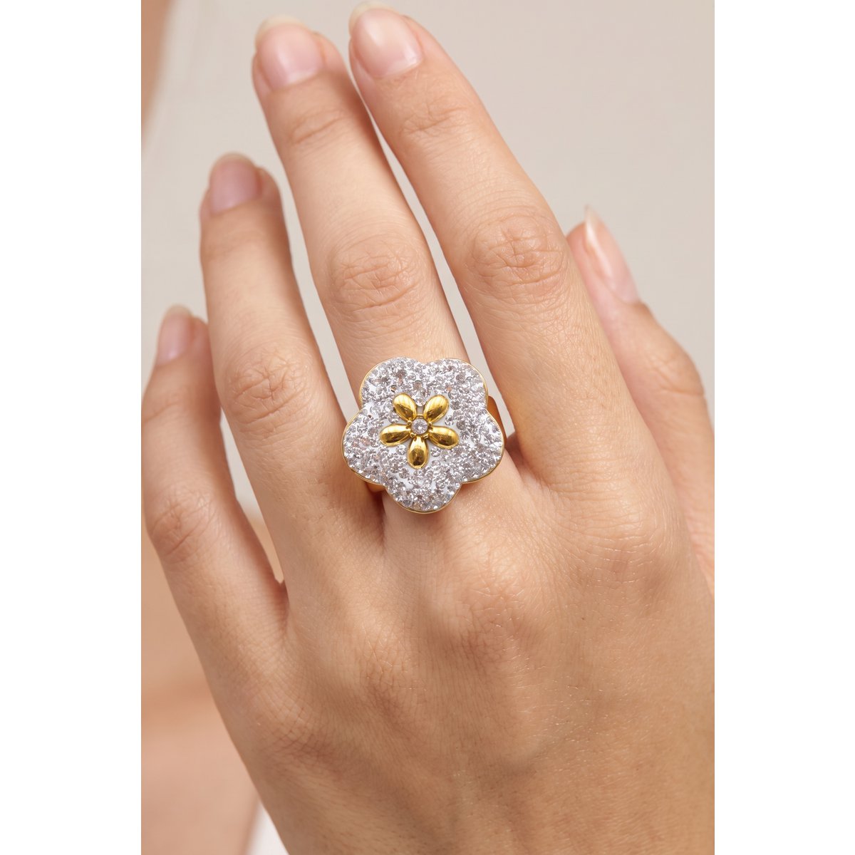 Bague en acier inoxydable ajustable