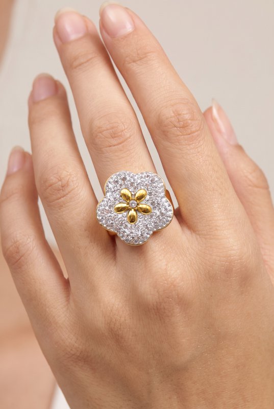 Bague en acier inoxydable ajustable