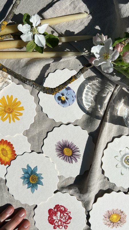 Coaster/Coaster 10 motifs flowers - 12 sets