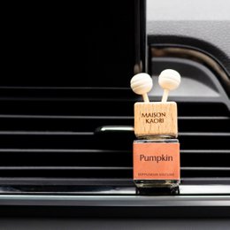 Car diffuser - Pumpkin - Limited Edition