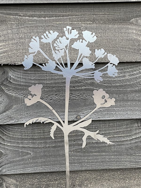 Caña y Hogweed acero corten 90 cm