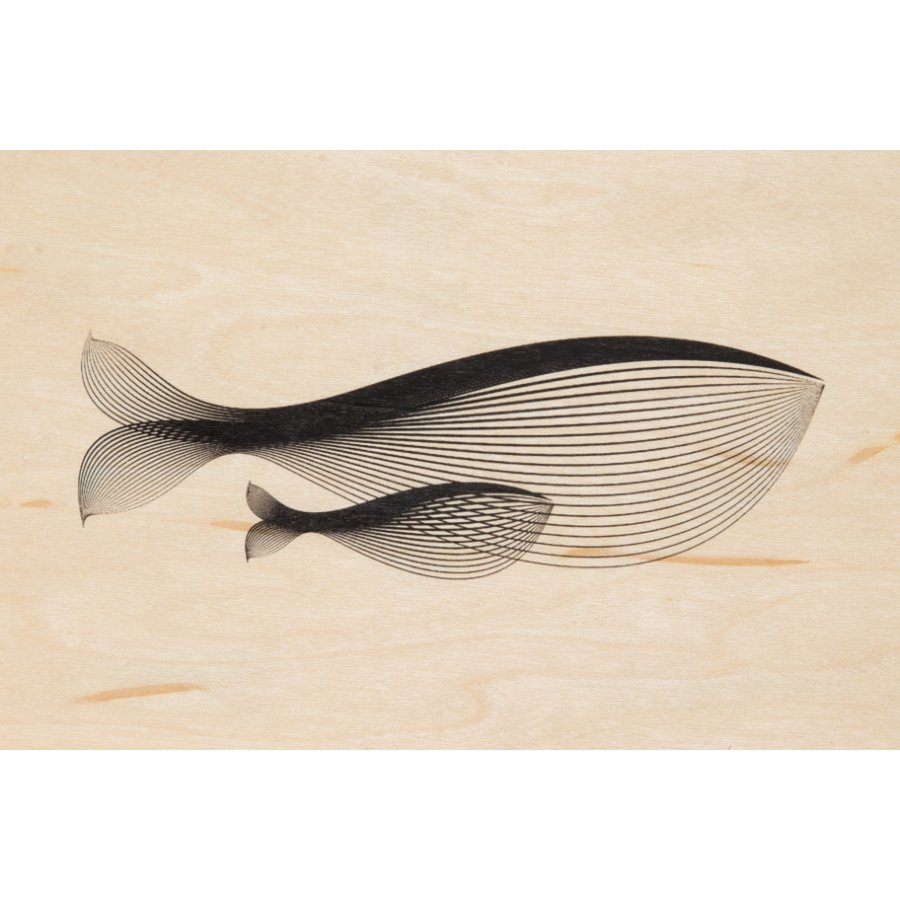 dieren walvis houten briefkaart