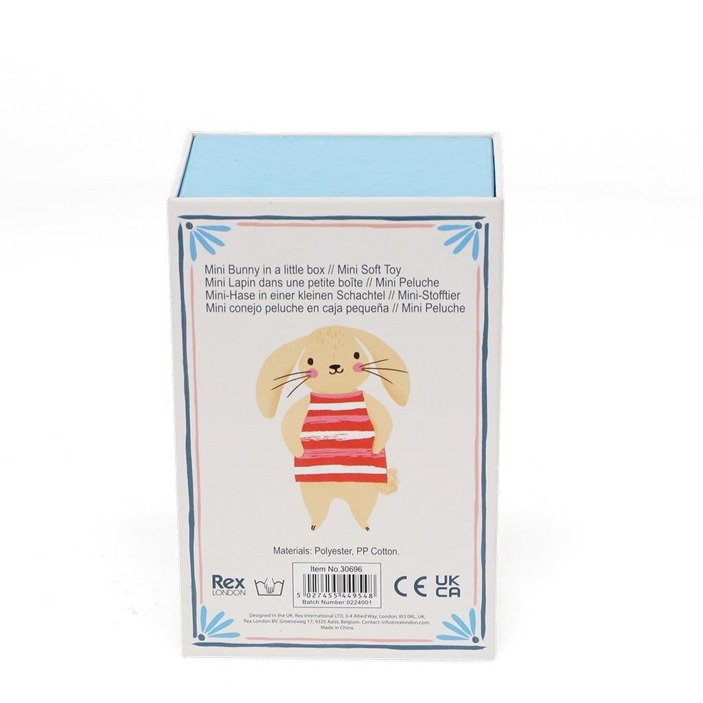 Mini lapin dans une petite boîte