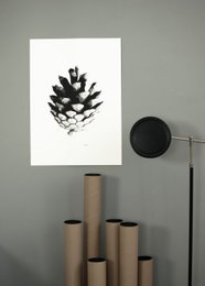 Kotten – screen print