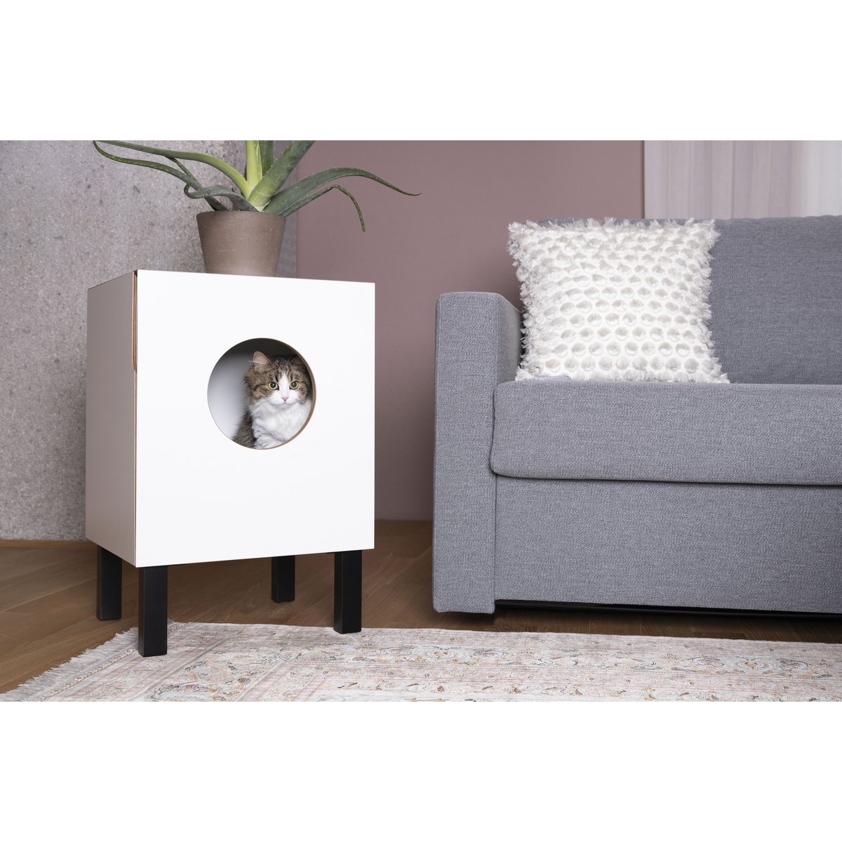 Vega Cat cave