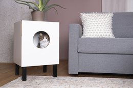 Jaskinia Vega Cat