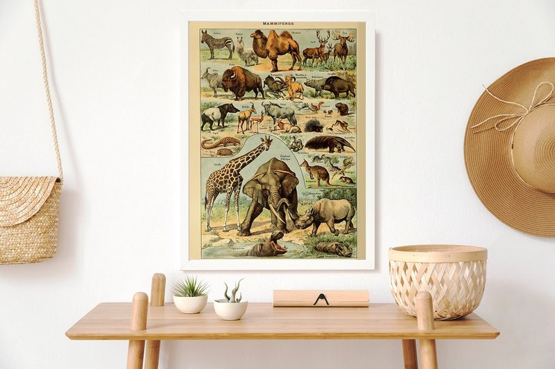 Poster Vintage Mammals - Millot