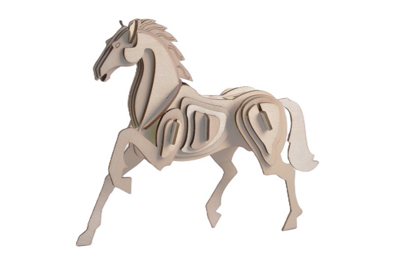Caballo de paquete de kitings