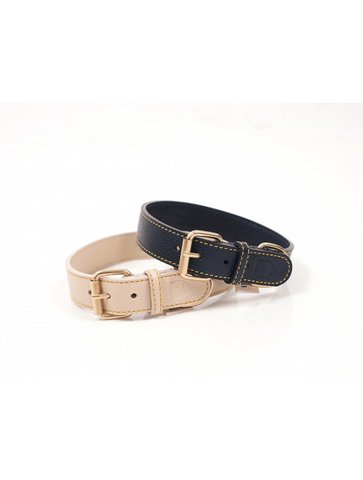 Sir Chuck Collar