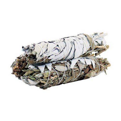 Salvia Bianca e Nera per Protezione 10 cm