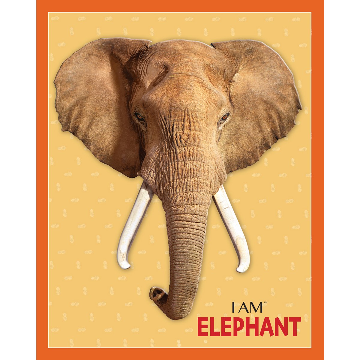 I Am Preschool - Olifant