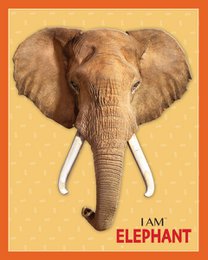 I Am Preschool - Olifant