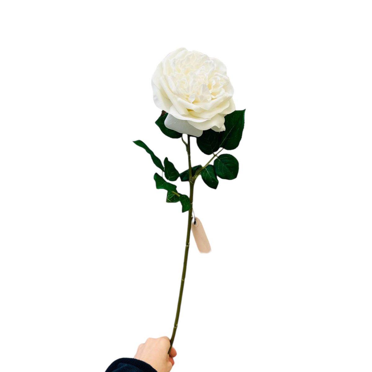 QMF Hand Touch Rose 65cm Z 2szt
