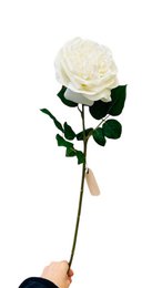 QMF Hand Touch Rose 65cm WIT 2STK