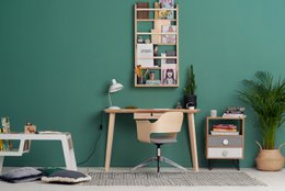 SHELFIE Shelf - Natural Birch