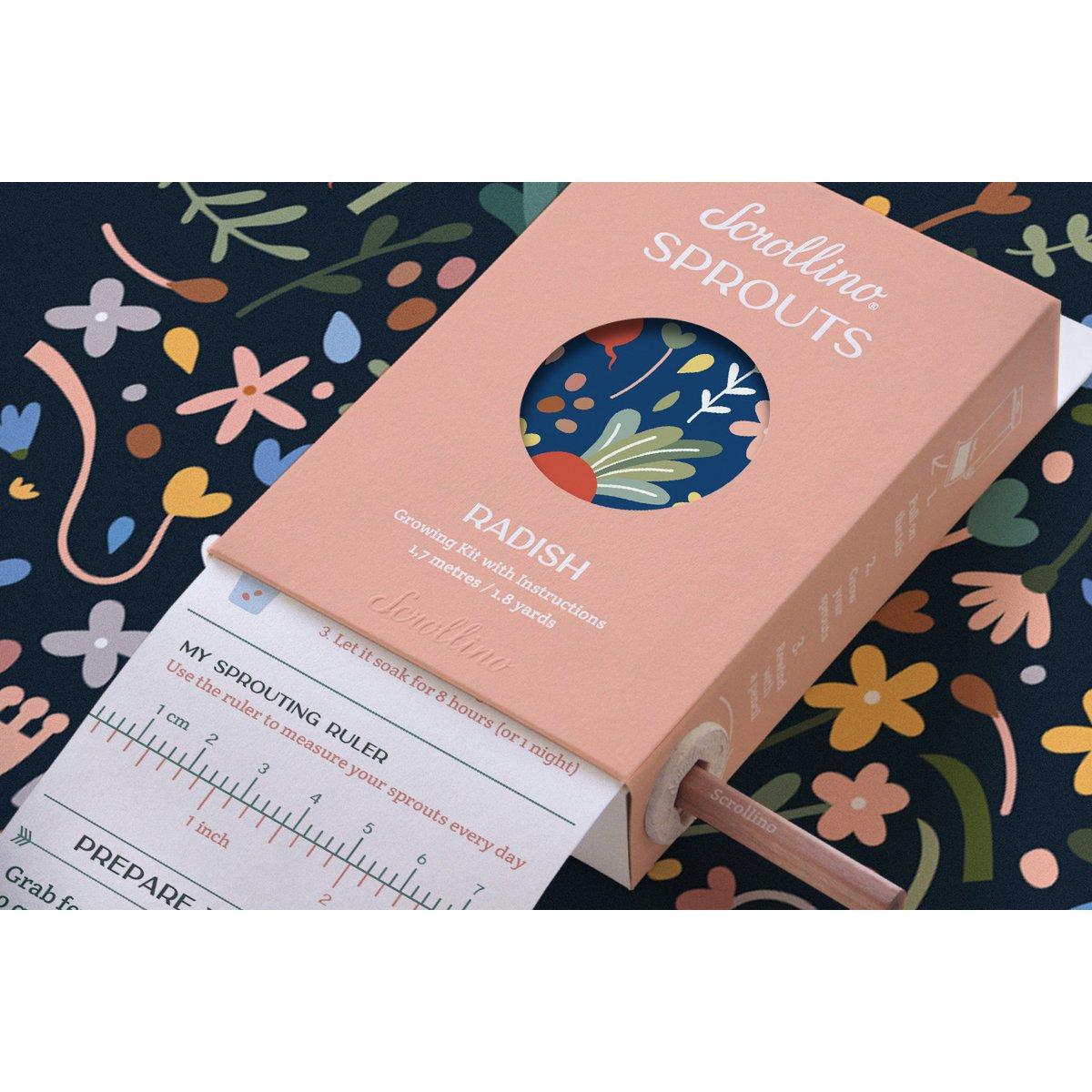 Actividad original y kit de crecimiento - Scrollino Radish Sprouts