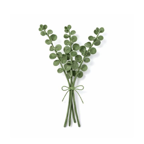 Branch Eucalyptus