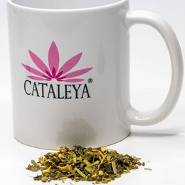LET GO-DETOX TEA, urteteblandingen med grøn te matcha, ingefær og citrongræs hjælper dig med at afgifte din krop og få energi 50g