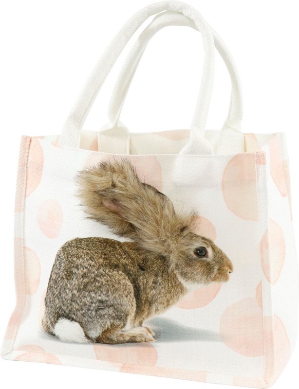 BOLSO CONEJITO (HOFF8909)
