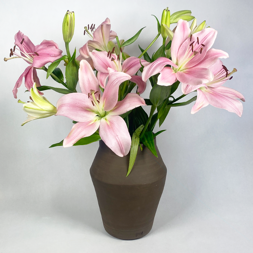 Makua Vase nøgen | Keramik | Plantepotte | Wabi Sabi | Ler | Håndlavet | Hollandsk design