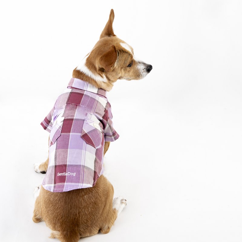 Camisa Joe