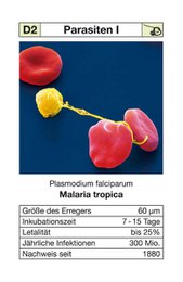 Quartet "Seuchen 1" - now with the current COVID-19 card