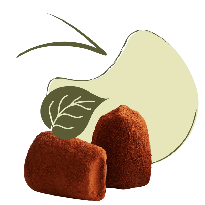 Truffes au chocolat végétaliennes - en vrac
