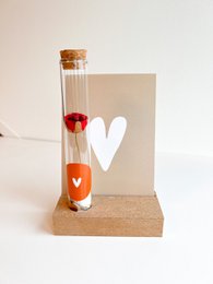 Gift tubes Roosje