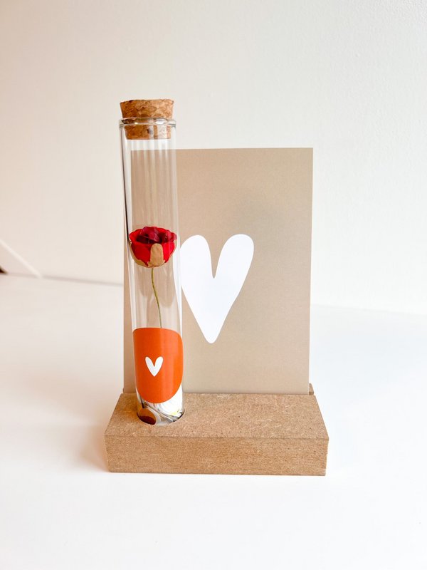 Gift tubes Roosje