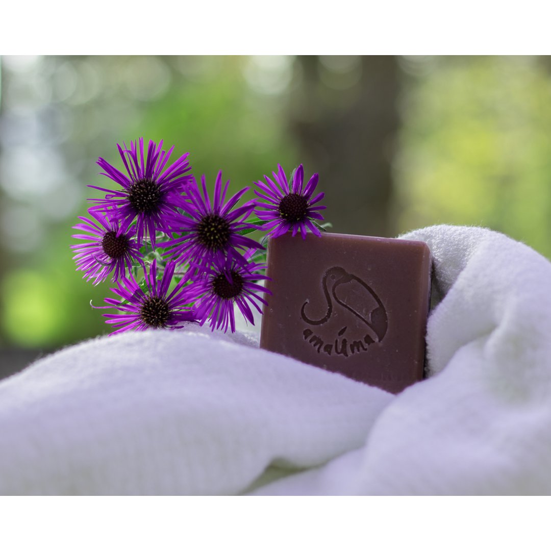 ENSO SOAP