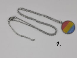 #1189 PAN pride kettingen/oorbel set  