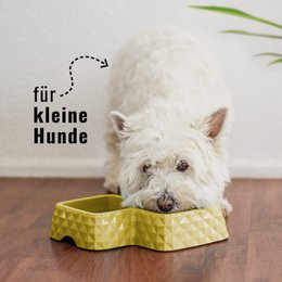 Ne & No® Bamboo Double Bowl para gatos y perros
