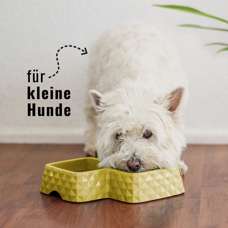 Ne & No® Bamboo Double Bowl para gatos y perros