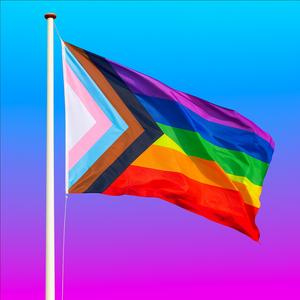 Regenbogenflagge Fortschritt 90 x 150 cm | Pride Flag | LGBTI