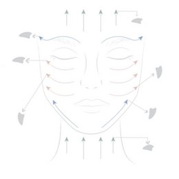 Oferta de Lote Descubrimiento 11 + 1 Gratis - Champi Gua Sha Rostro y Cuerpo Cuarzo Rosa