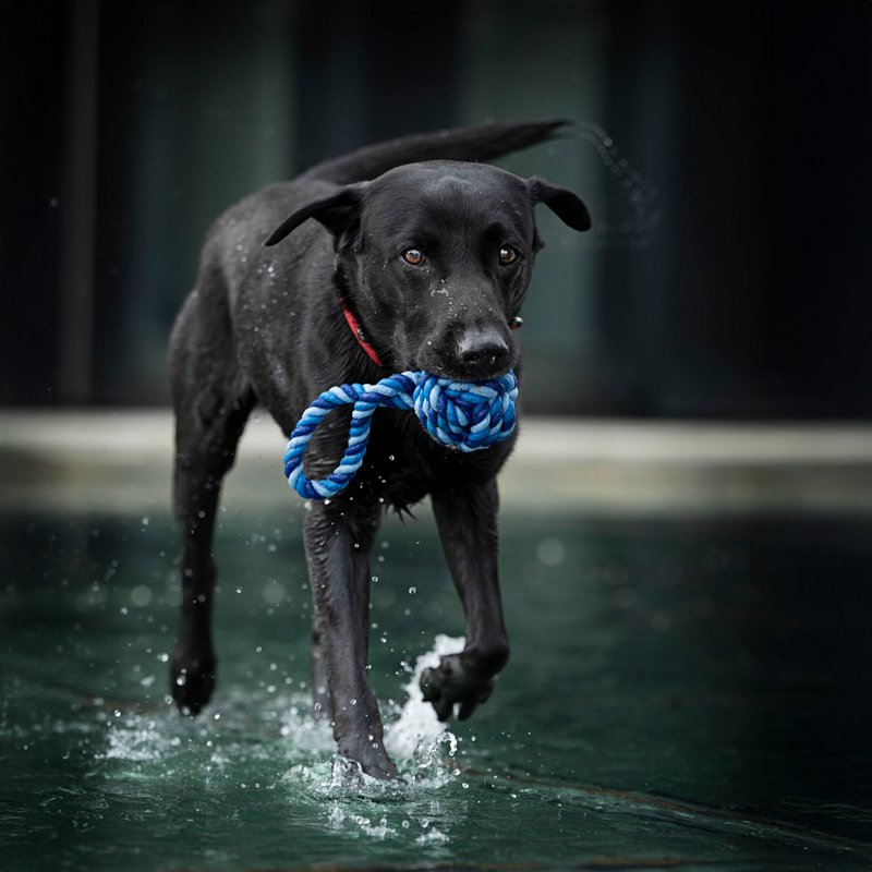 Maxi sling ball - cult toy for dogs