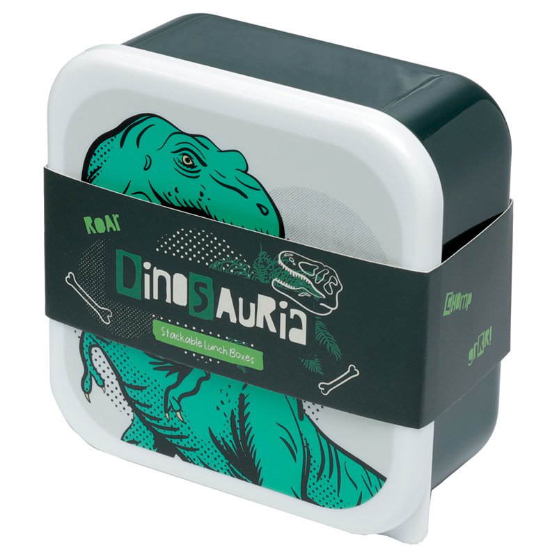 Lot de 3 Lunch Box M/L/XL Dinosaure