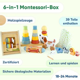 BusyKids Montessori-Set für Kinder von 18 bis 24 Monaten