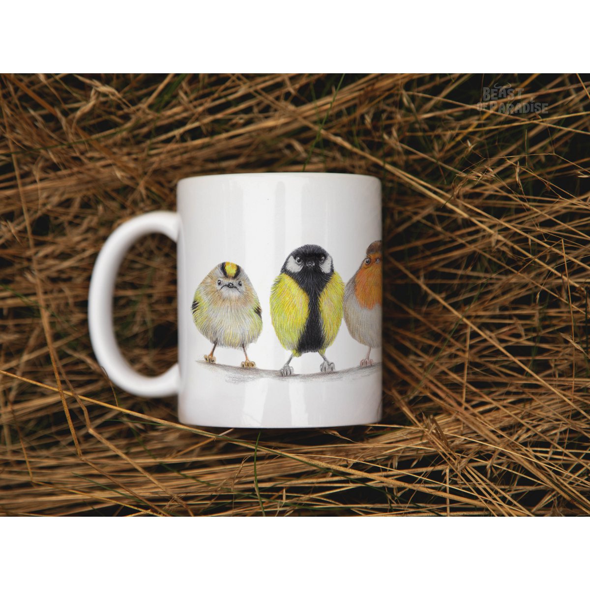 Tazza in ceramica, uccelli europei, tazze divertenti, tazze di animali