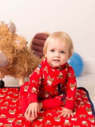 Hamish Highland Cow Design