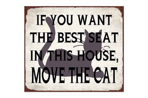 Metal sign The best seat 30x26 cm