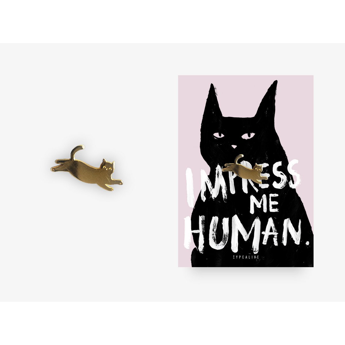 Pin / Impress Me