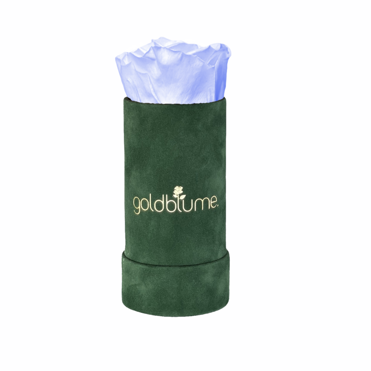 Velvet Green Collection