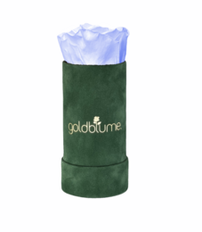 Velvet Green Collection