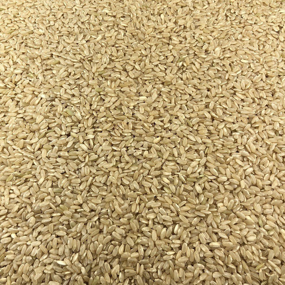 Organic Whole Round Rice in Bulk
