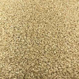 Organic Whole Round Rice in Bulk