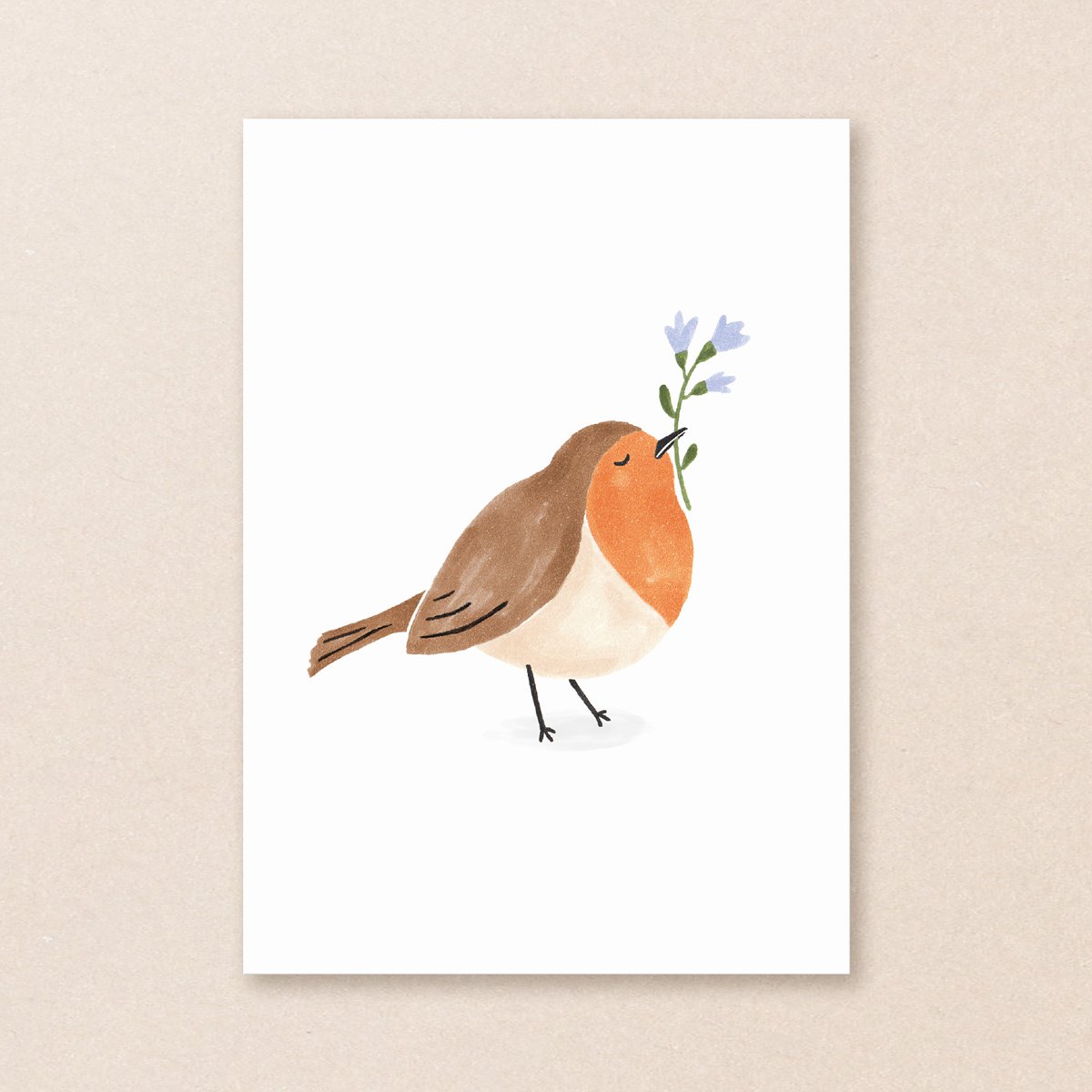 Postal | Petirrojo | Aves