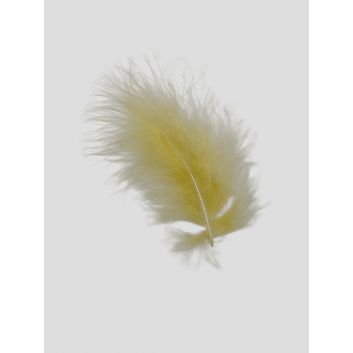 Szampan Marabut 12-15cm
