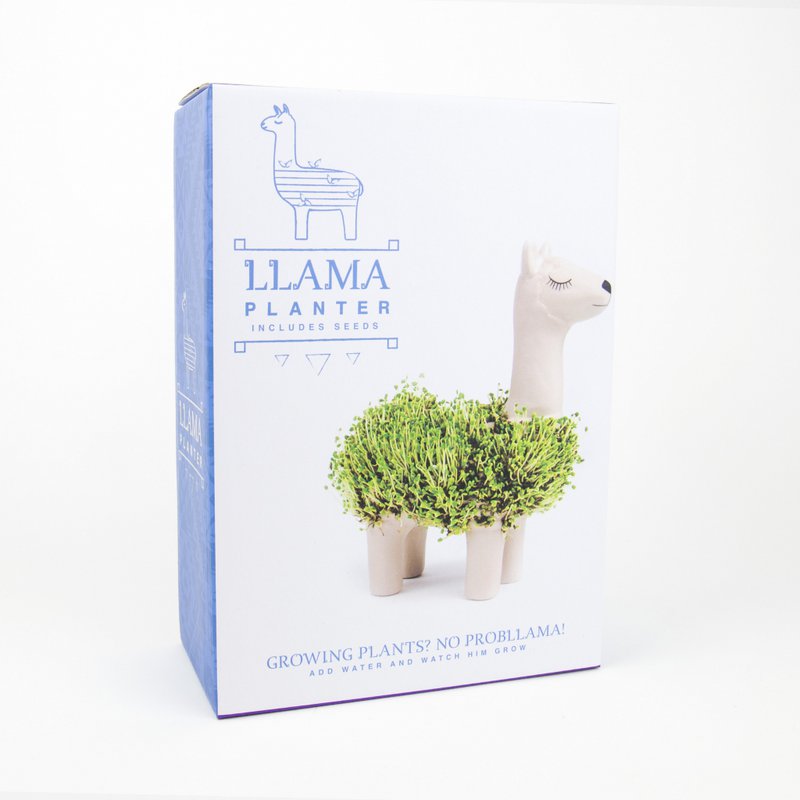 Gift Republic Blumentopf mit Chiasamen – Lama