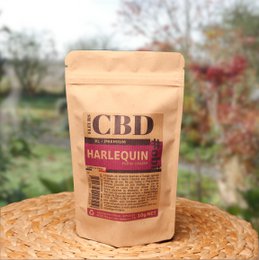 Harlequin XL CBD Flowers